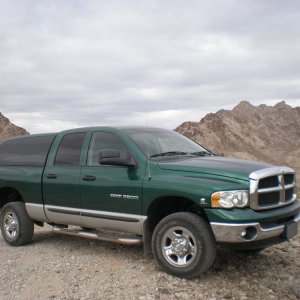 Mtn Ram in the Desert