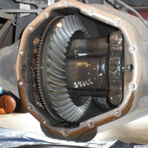 Differential Fluid Change
