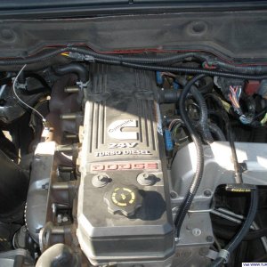Gauge