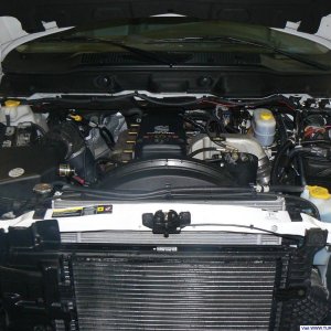 Engine Bay