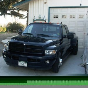 New look for 2009, Sport bumper & lights