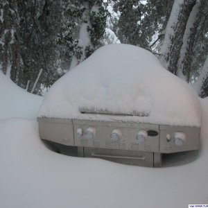 BBQ canceled 2010