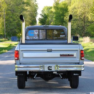 W250
