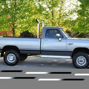 W250