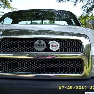 Emblems on the grill