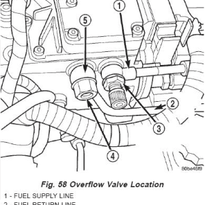 24V check valve