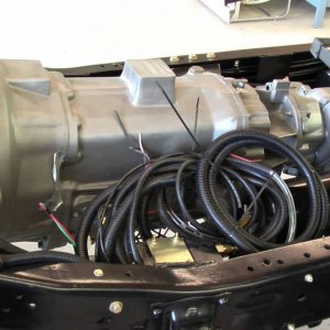 IMGA0015