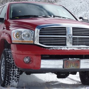 Out for a day in the Snow