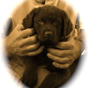 tucker   2011-