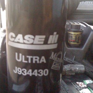 Shawn_s_photos_037