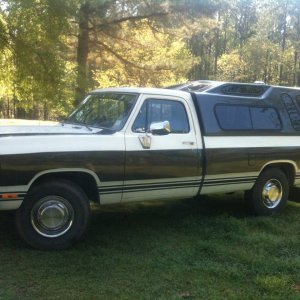 Truck_and_Trees