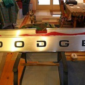 Tailgate Trim Panel