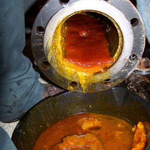 biodiesel