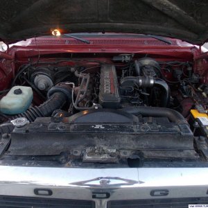 DSCN0785