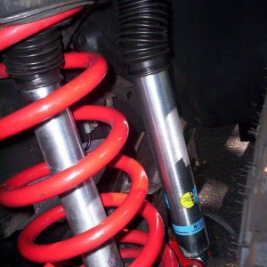 D25 Coils