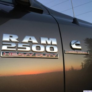 IMG_38731