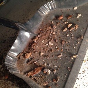 pumpkin_droppings