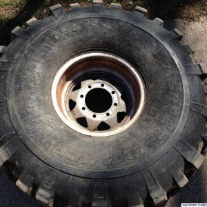 Tire