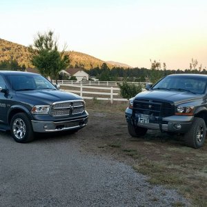 Ram1500-2500BigDogPuppyDog