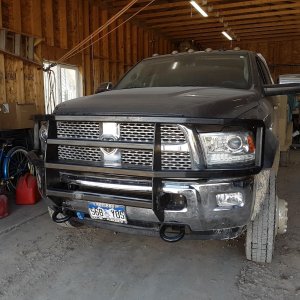 New Brush Guard