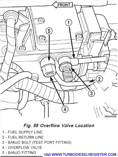 24V check valve