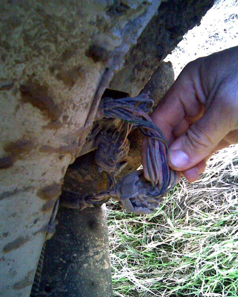 '96 tow package wire loom connector behind front tire