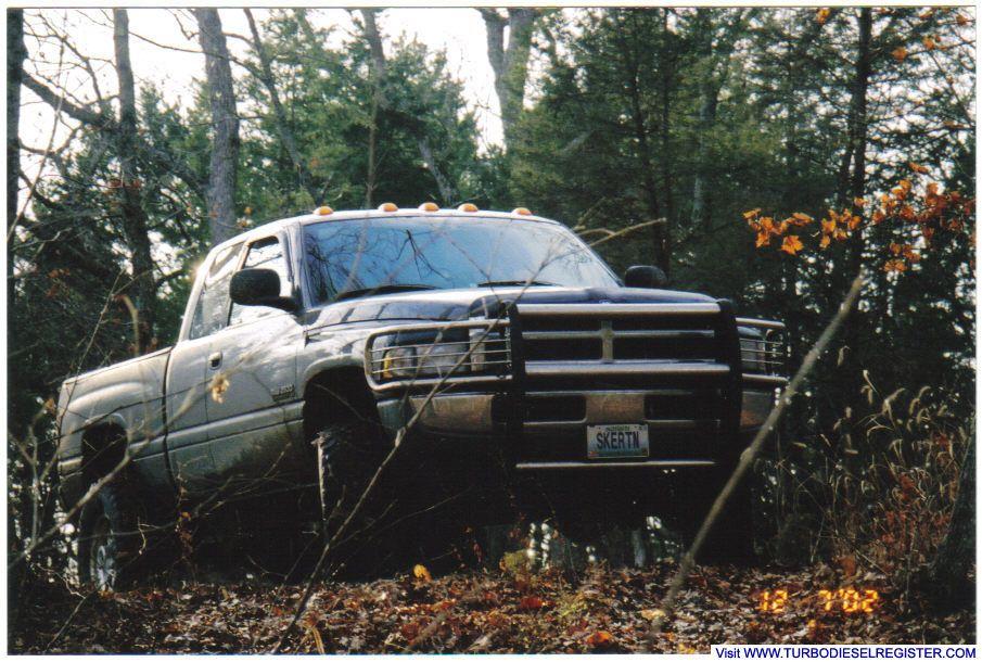 Another in the woods pic