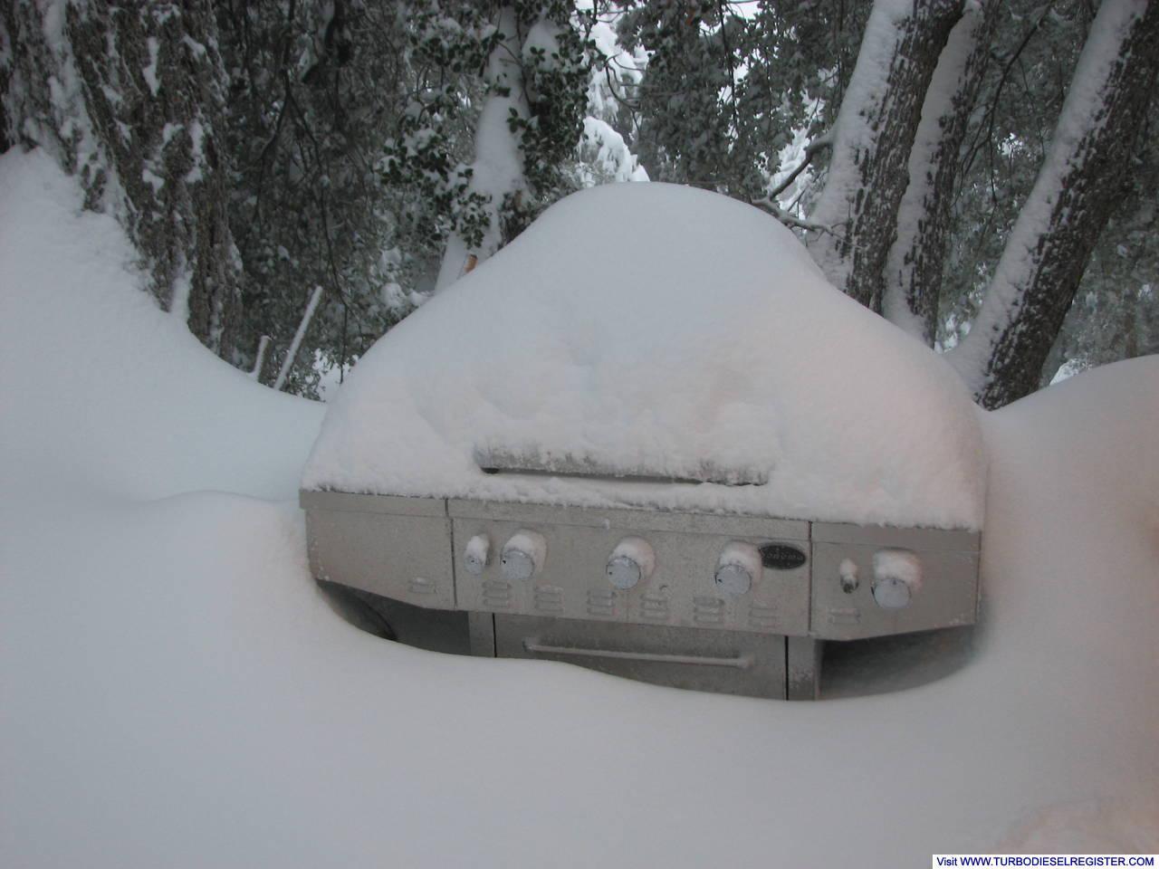 BBQ canceled 2010