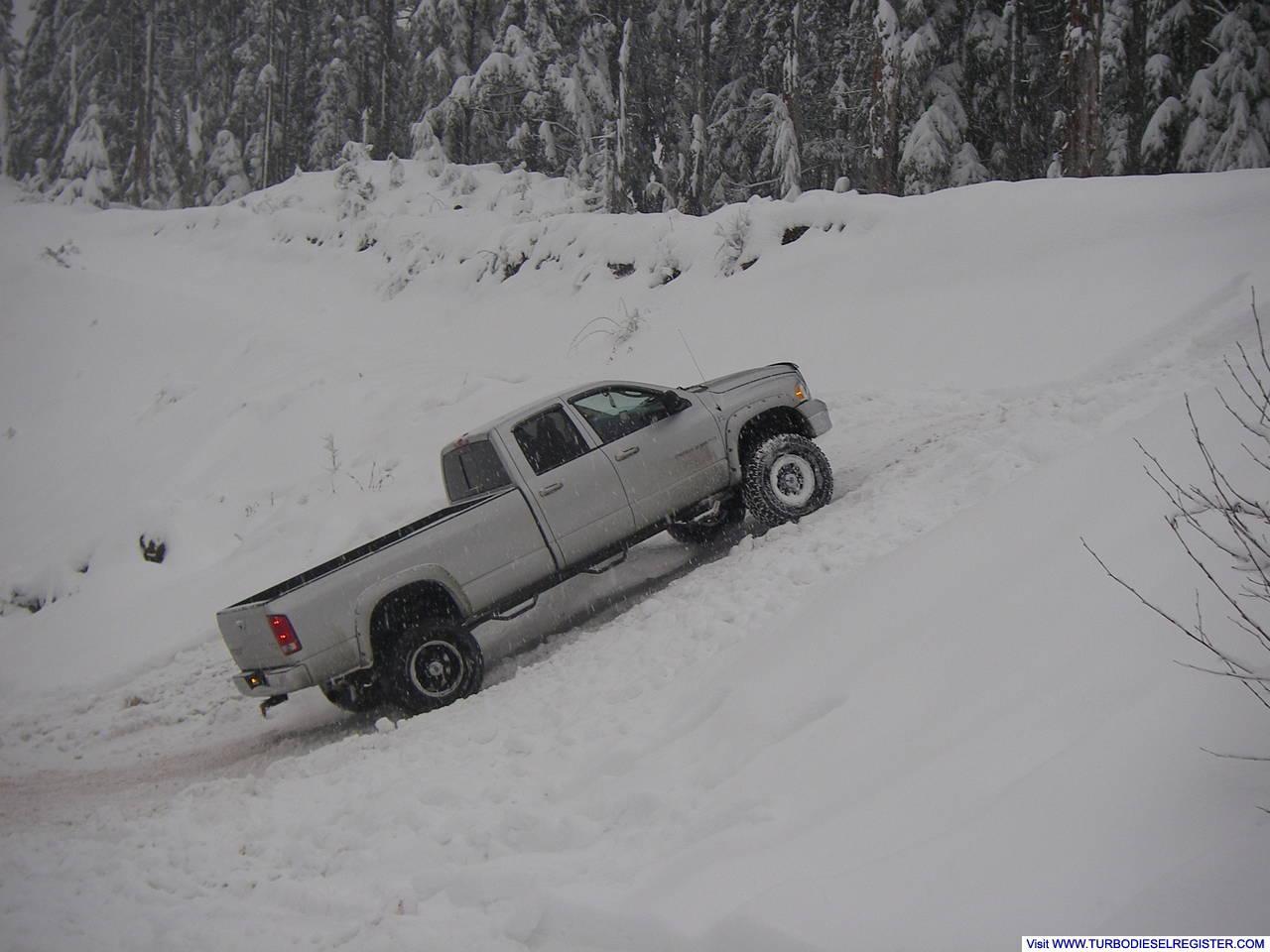 Cousin's Dodge