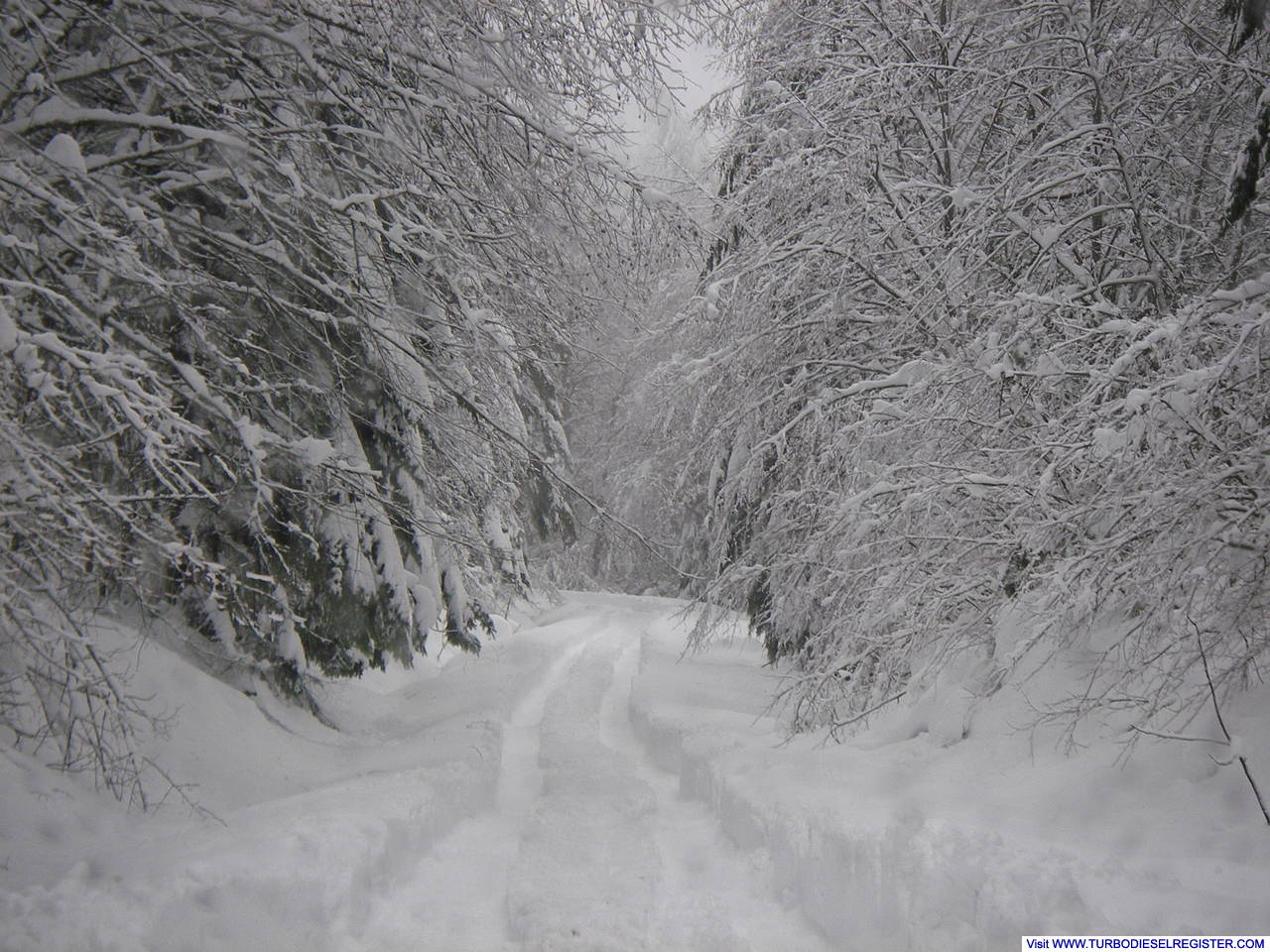 Deep Snow