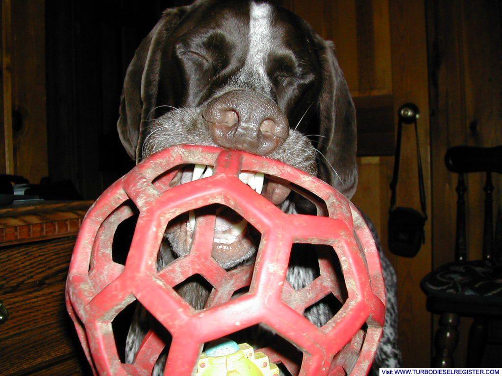 Diesel with a Holey Roller