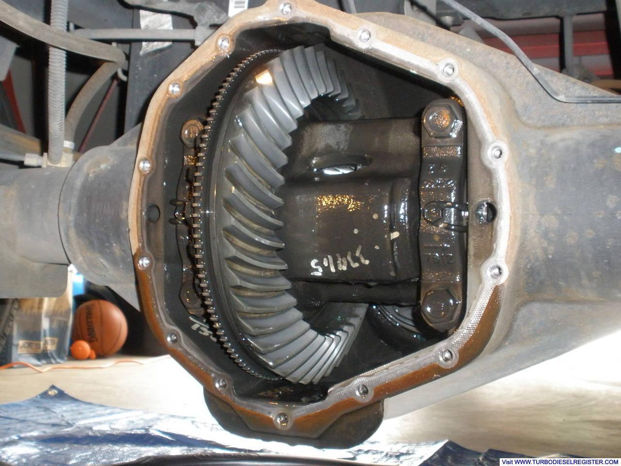 Differential Fluid Change