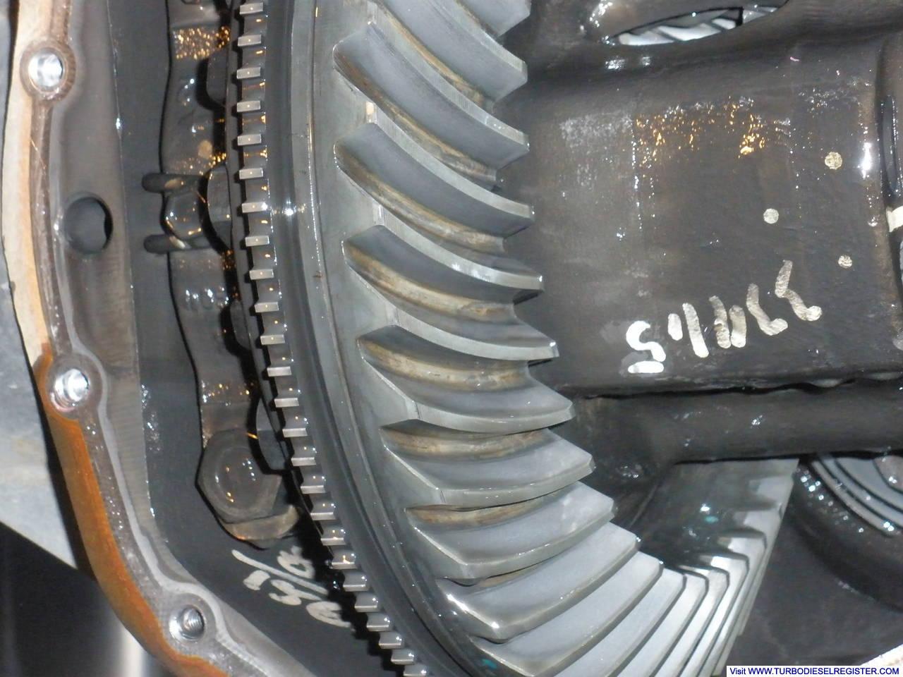 Differential Fluid Change