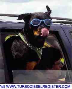 Doggles