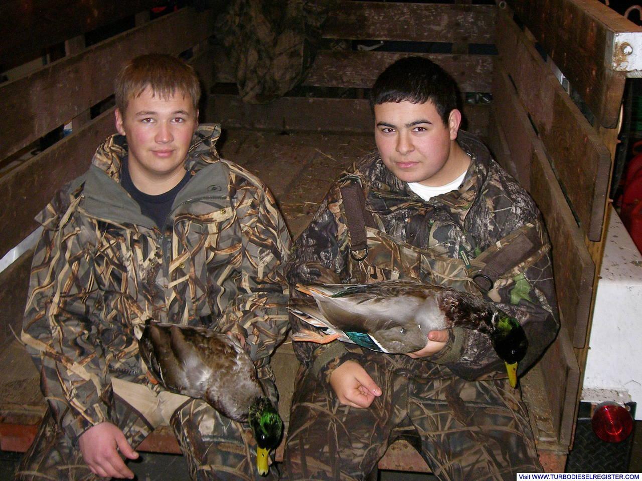 First Ducks