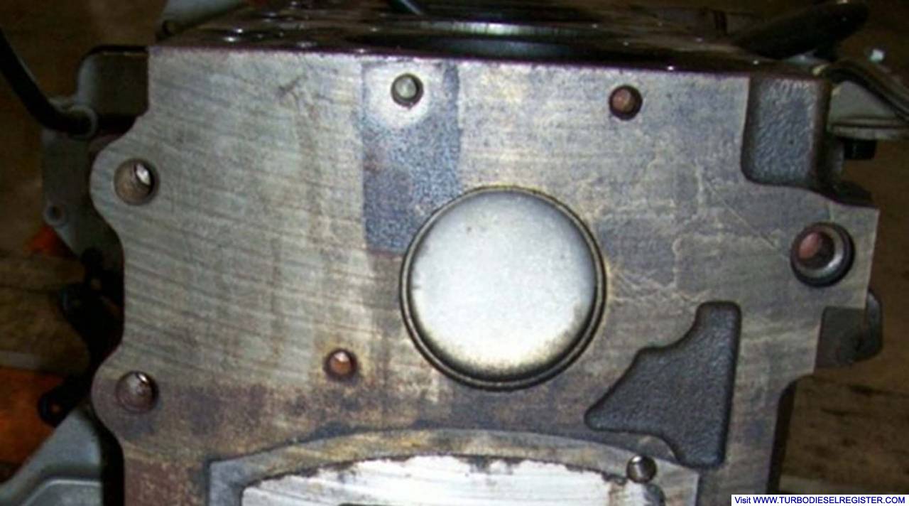Freeze Plug Template