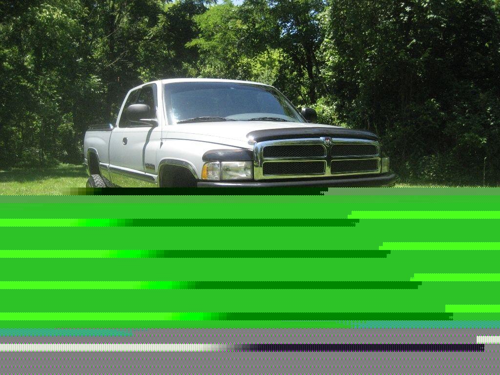 got her cleaned up a bit today
