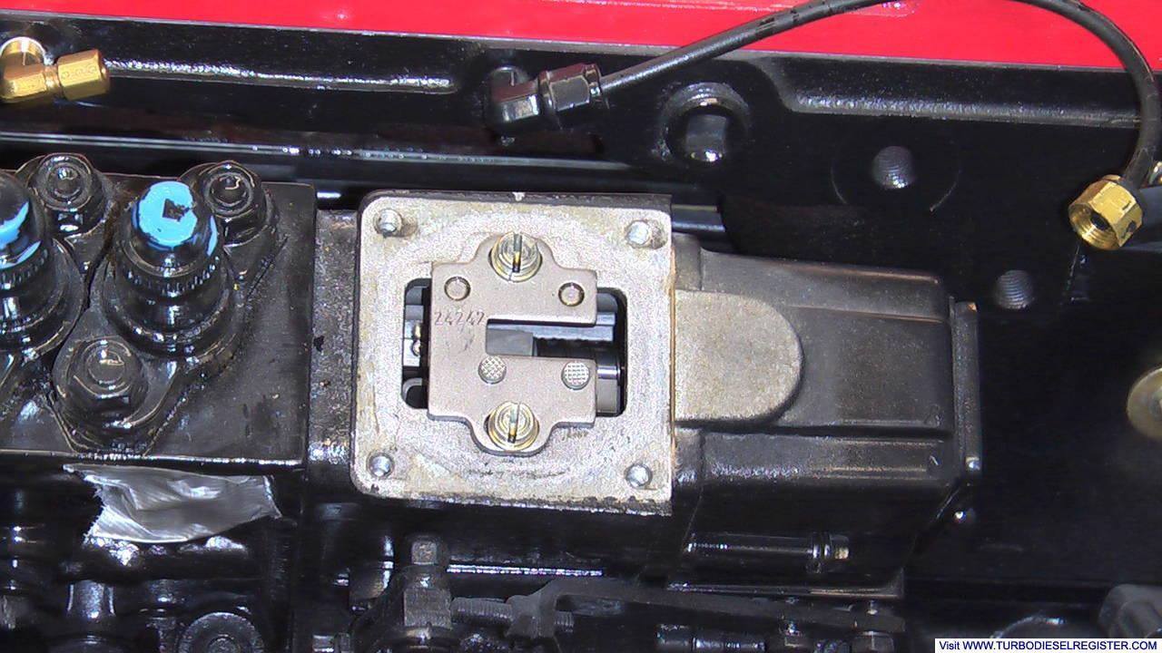 IMGA0878