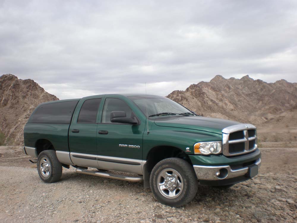 Mtn Ram in the Desert
