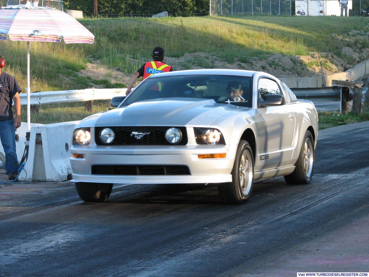 My 05 Stang
