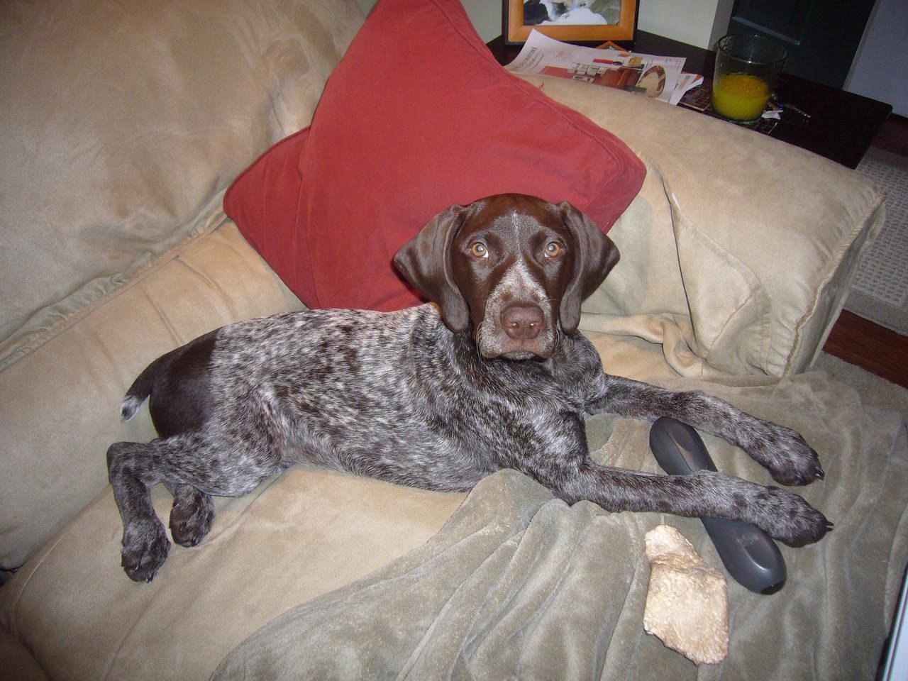 My Best Bud