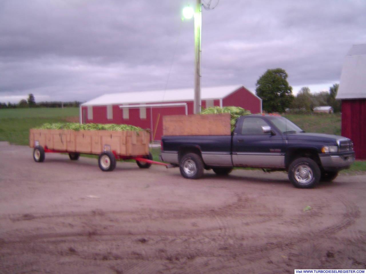 My buddies "Farm Truck" / last load of sweet corn '07