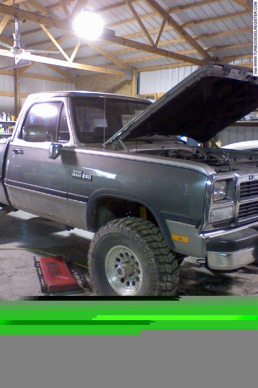 my project, 1993 250