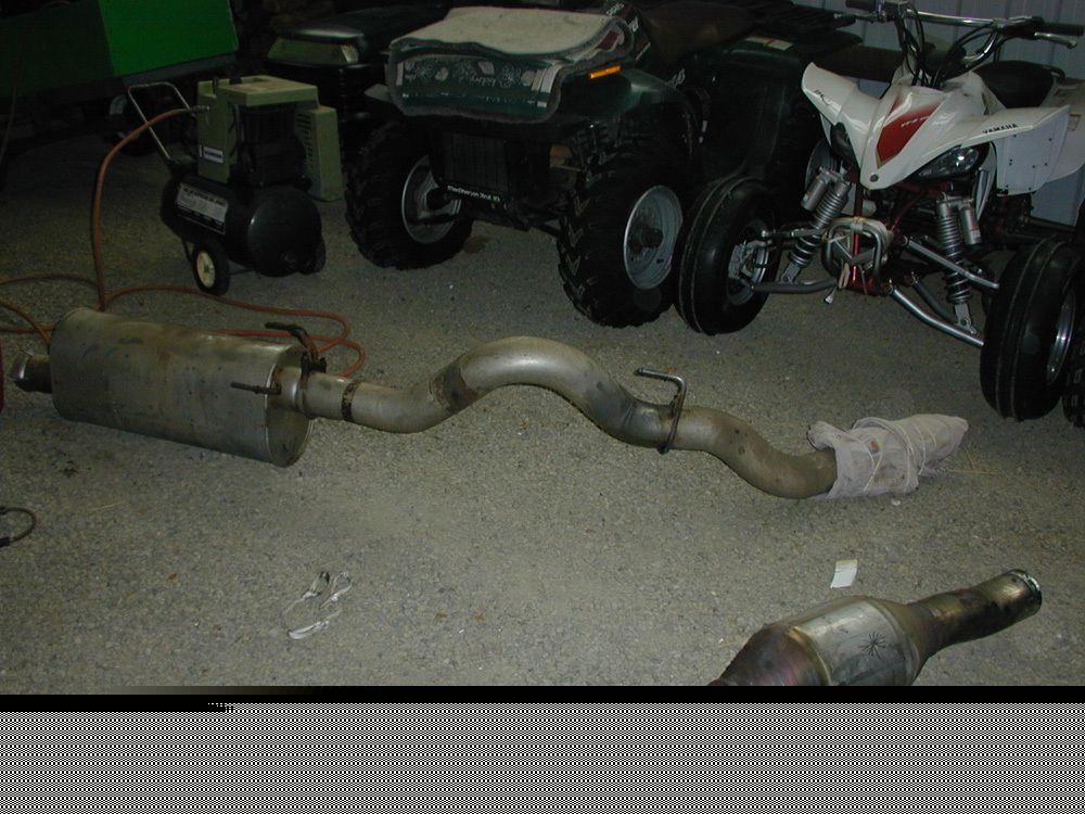 Old Cat and Muffler