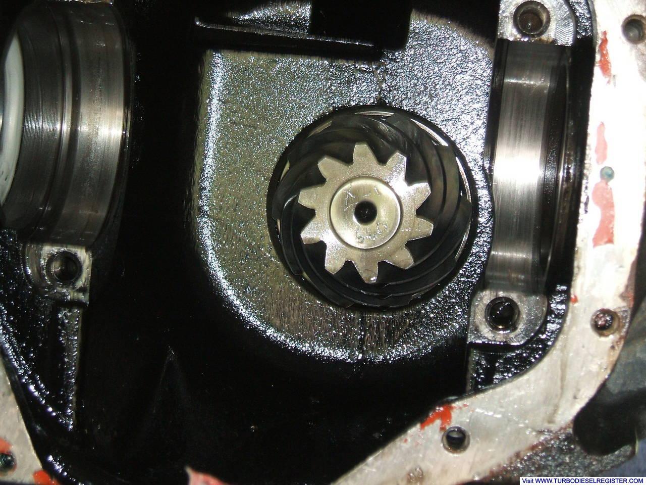 Pinion Gear