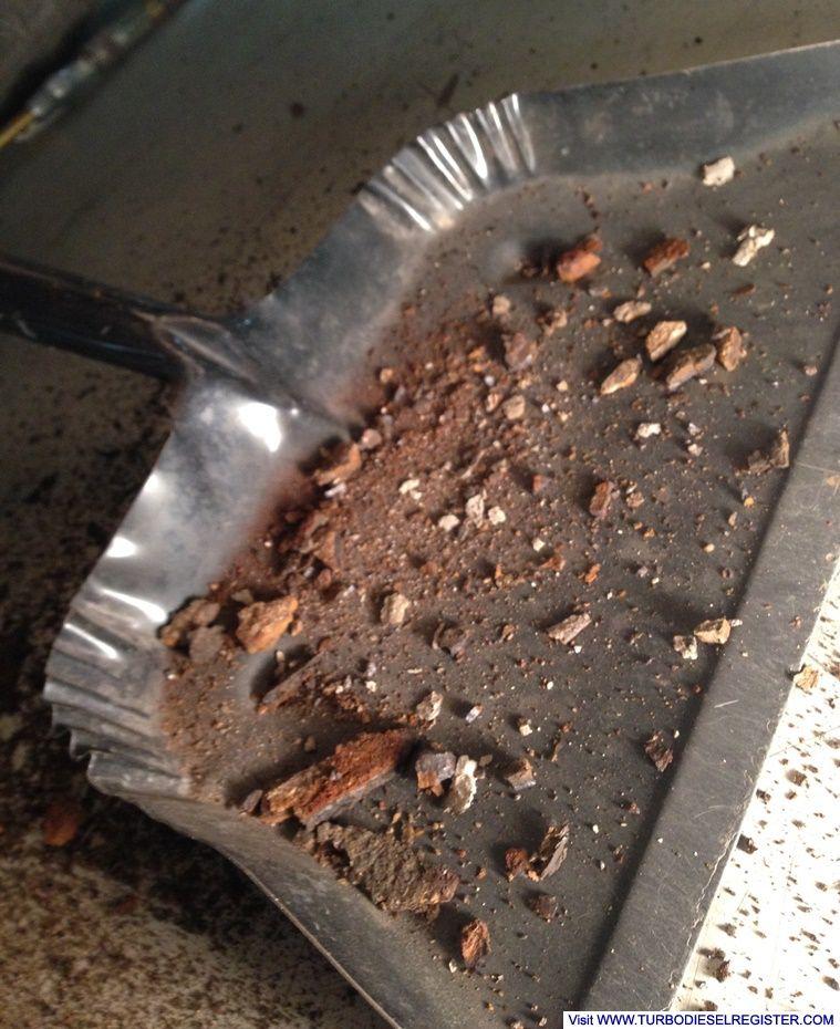 pumpkin_droppings