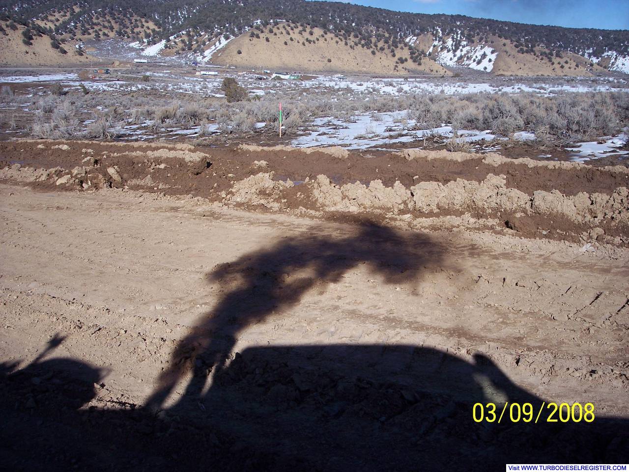 Shadows