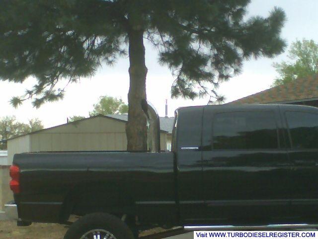 side shot