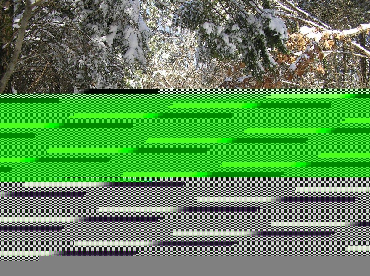 Snowtrail