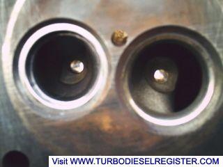 stock head